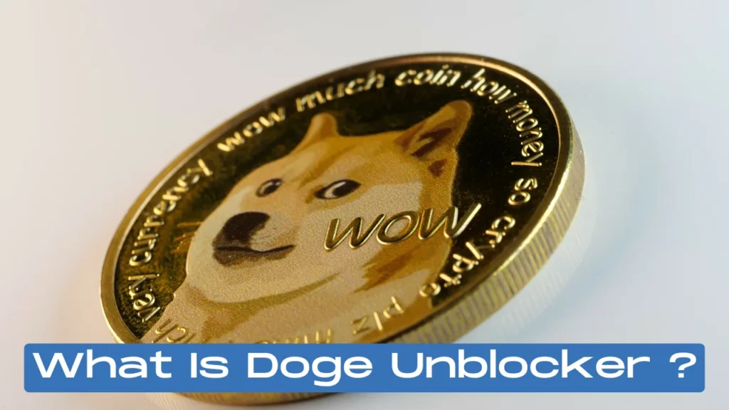 What Is Doge Unblocker ?