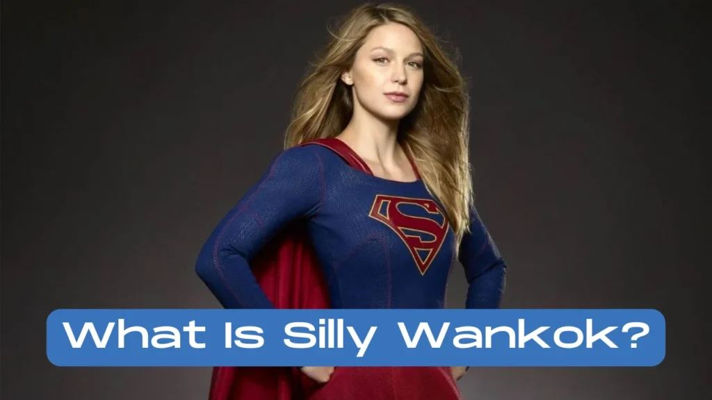 What Is Silly Wankok?
